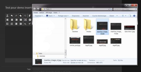 insertion_image_v1.jpg