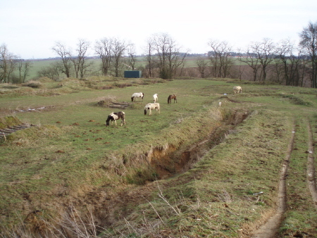 2P2030090.jpg