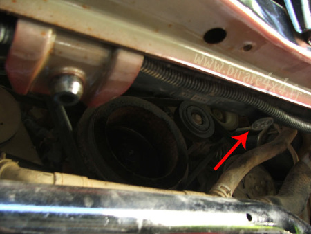 DSCF5487.jpg