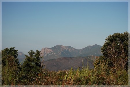 dsc_0307.jpg