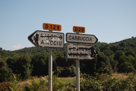 dsc_0308.jpg