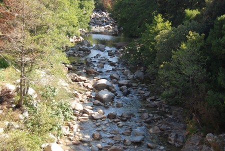 dsc_0401.jpg