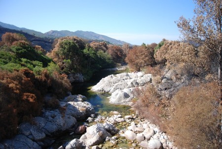 dsc_0402.jpg