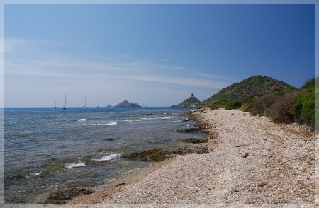 dsc_0405.jpg