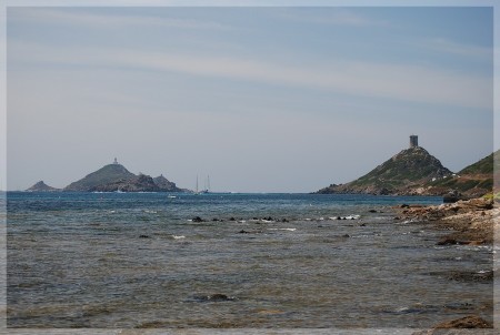 dsc_0406.jpg