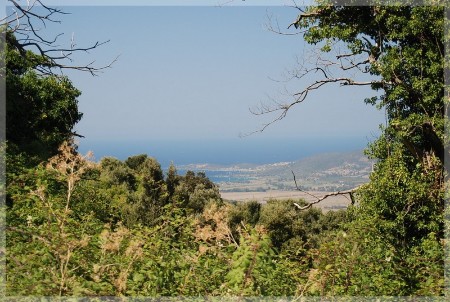 dsc_0488.jpg