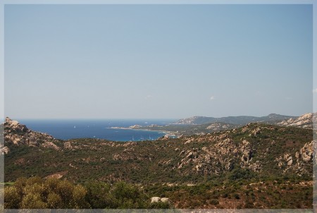 dsc_0500.jpg