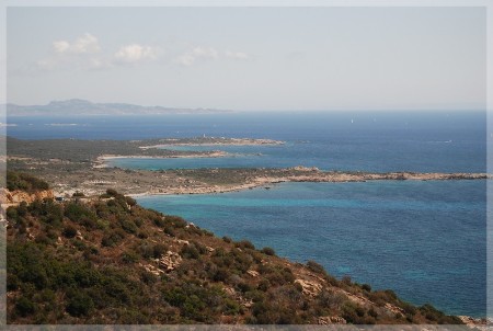 dsc_0503.jpg