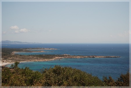 dsc_0504.jpg