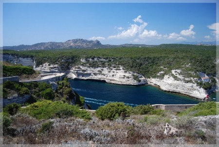 dsc_0508.jpg