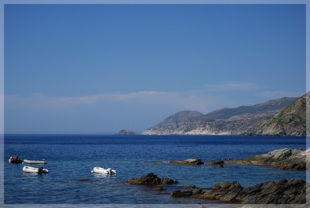 dsc_0668.jpg