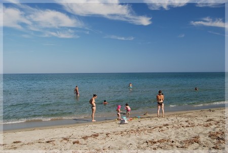 dsc_0770.jpg
