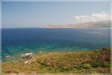 dsc_0786.jpg