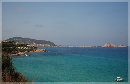 dsc_0790.jpg