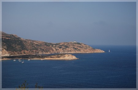 dsc_0791.jpg