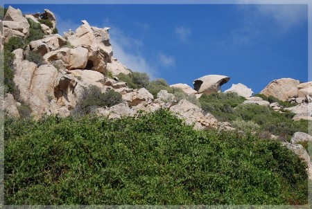 dsc_0794.jpg