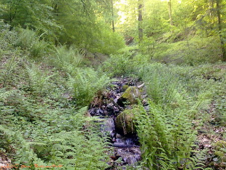 2ke258215d08.jpg