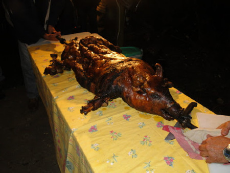 DSC06434.jpg