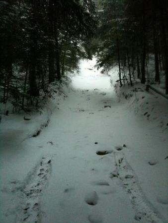 902417IMG0330.jpg