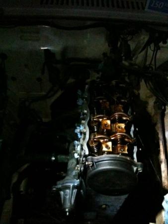 562820IMG0426.jpg