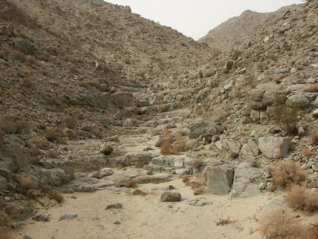 PICT0171.jpg