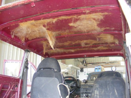DSCF6478.jpg
