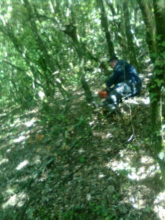 photo011.jpg