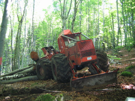 IMG_6291.jpg
