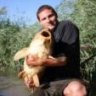 Carptrotter
