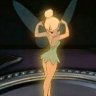 Zooyette