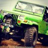 YJ green snake pearl