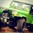 YJ green snake pearl