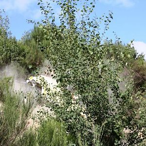 IMG_5546