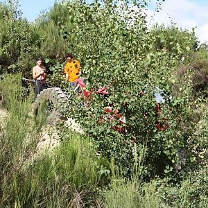 IMG_5570