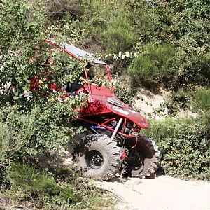 IMG_5583