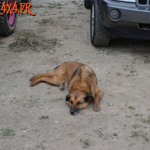 DSC_0627_EFFP.JPG
