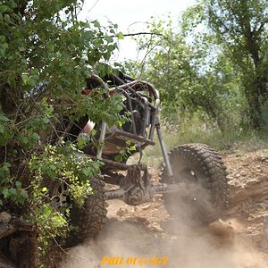IMGL0232.jpg