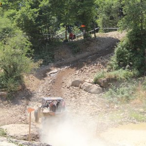 IMG_9987.JPG