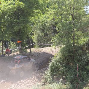 IMG_9988.JPG