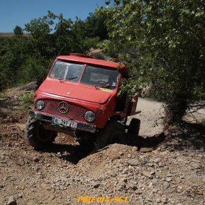IMGL0228.jpg