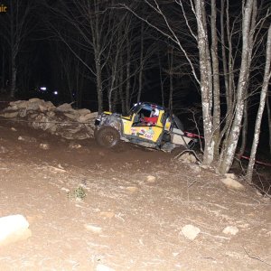 IMG_1662.jpg