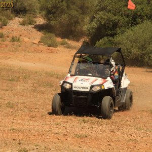 IMG_3584.jpg
