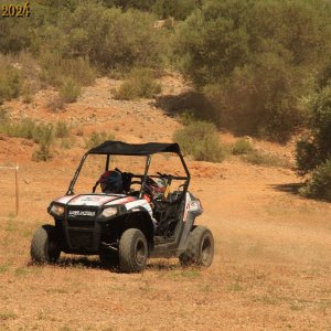 IMG_3586.jpg