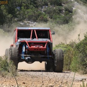 IMG_3695.jpg