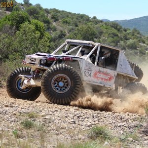 IMG_3782.jpg