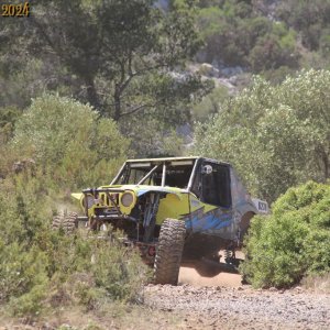 IMG_3893.jpg