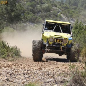 IMG_3895.jpg