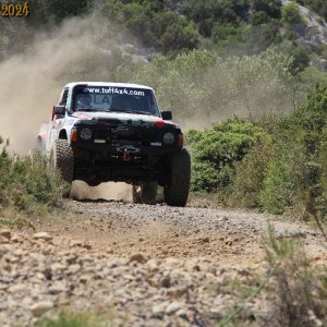 IMG_3922.jpg