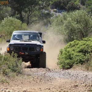 IMG_3936.jpg