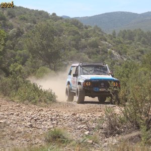 IMG_3950.jpg